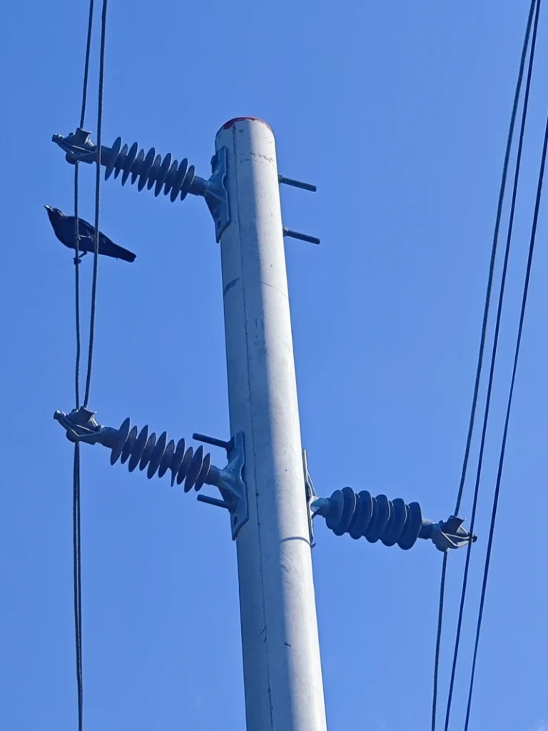 Tanzania 11kV Line Composite Post Insulator Project Case