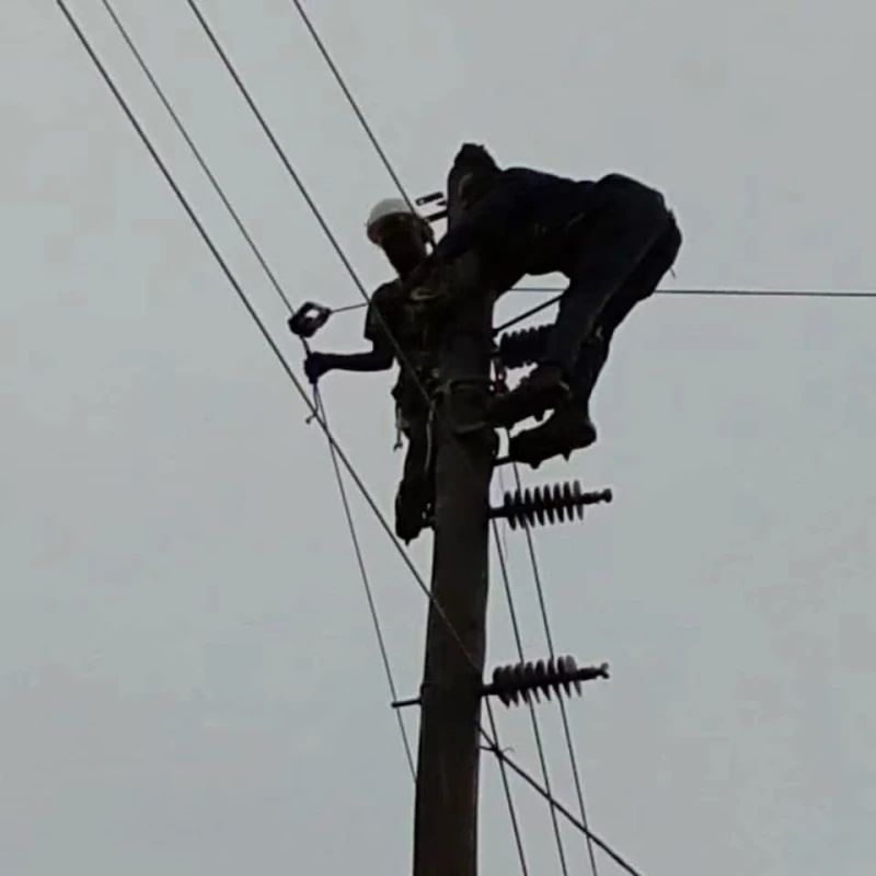33kV Composite Suspension Insulators
