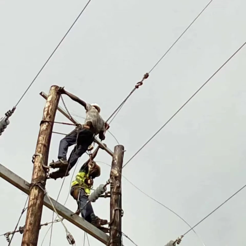 33kV Composite Suspension Insulators in Ethiopia Power Lines